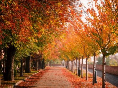 Prepping Commercial Real Estate Properties for Autumn